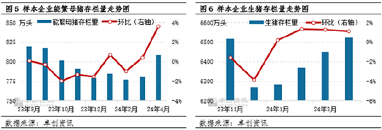 卓创资讯：心态作用加重 “七上八下”的猪价何时破局