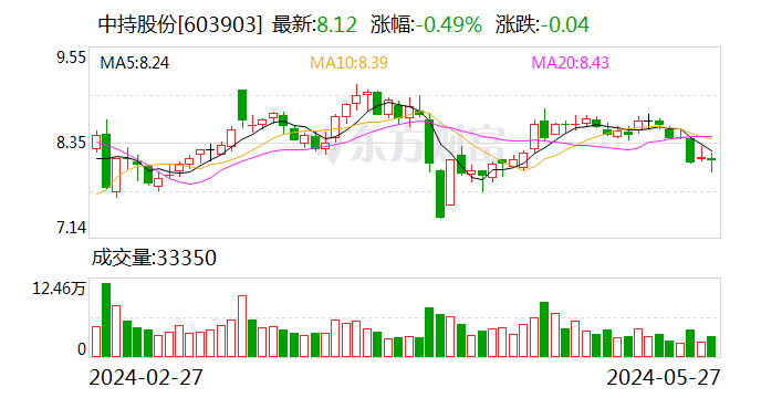 中持股份：终止2023年度以简易程序向特定对象发行股票事项