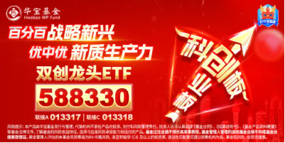 近两日狂揽10亿元！资金蜂拥抢筹，机构发声看好，硬科技宽基——双创龙头ETF（588330）或成“香饽饽”